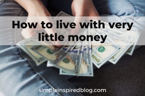 Read more about the article How To Live On Very Little Money: Extreme Frugality