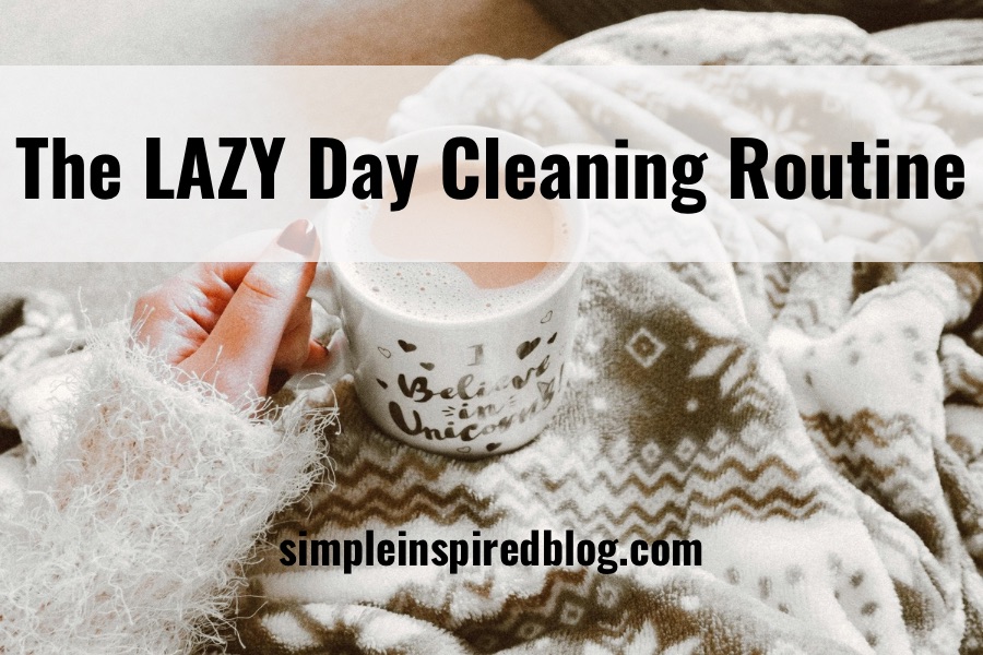 The LAZY Day Cleaning Routine